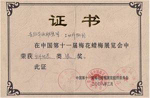 華派雕塑梅花臘梅展覽會銀獎(jiǎng)